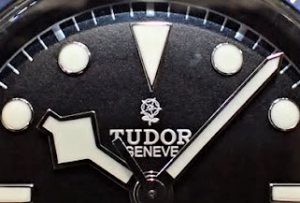 チューダー,チュードル,TUDOR,ばら,チューダーローズ