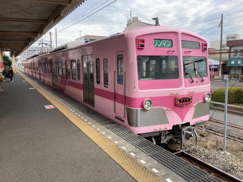 流山線,平和台駅,電車,さくら