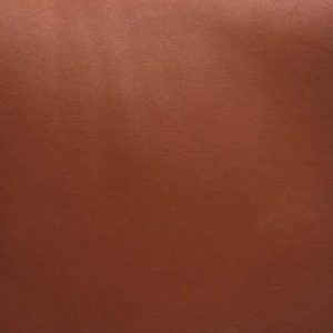 コーチ,柄,クラブタンレザー