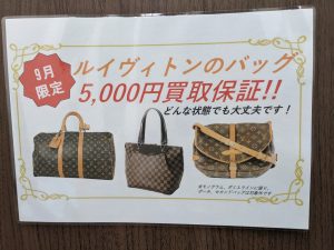 Louis Vuitton,ルイヴィトン,バッグ