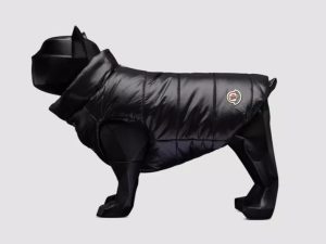 Moncler,モンクレール,ダウン