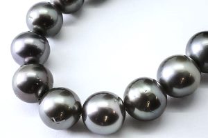 パールネックレス,黒蝶,真珠