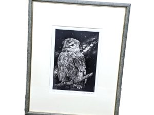版画,美術品,フクロウ