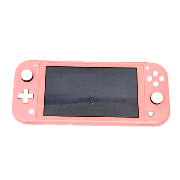 ゲーム機,ニンテンドースイッチ,小型家電