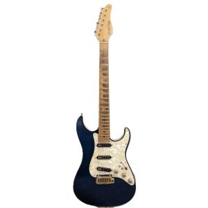 SCHECTER,シェクター,エレキギター