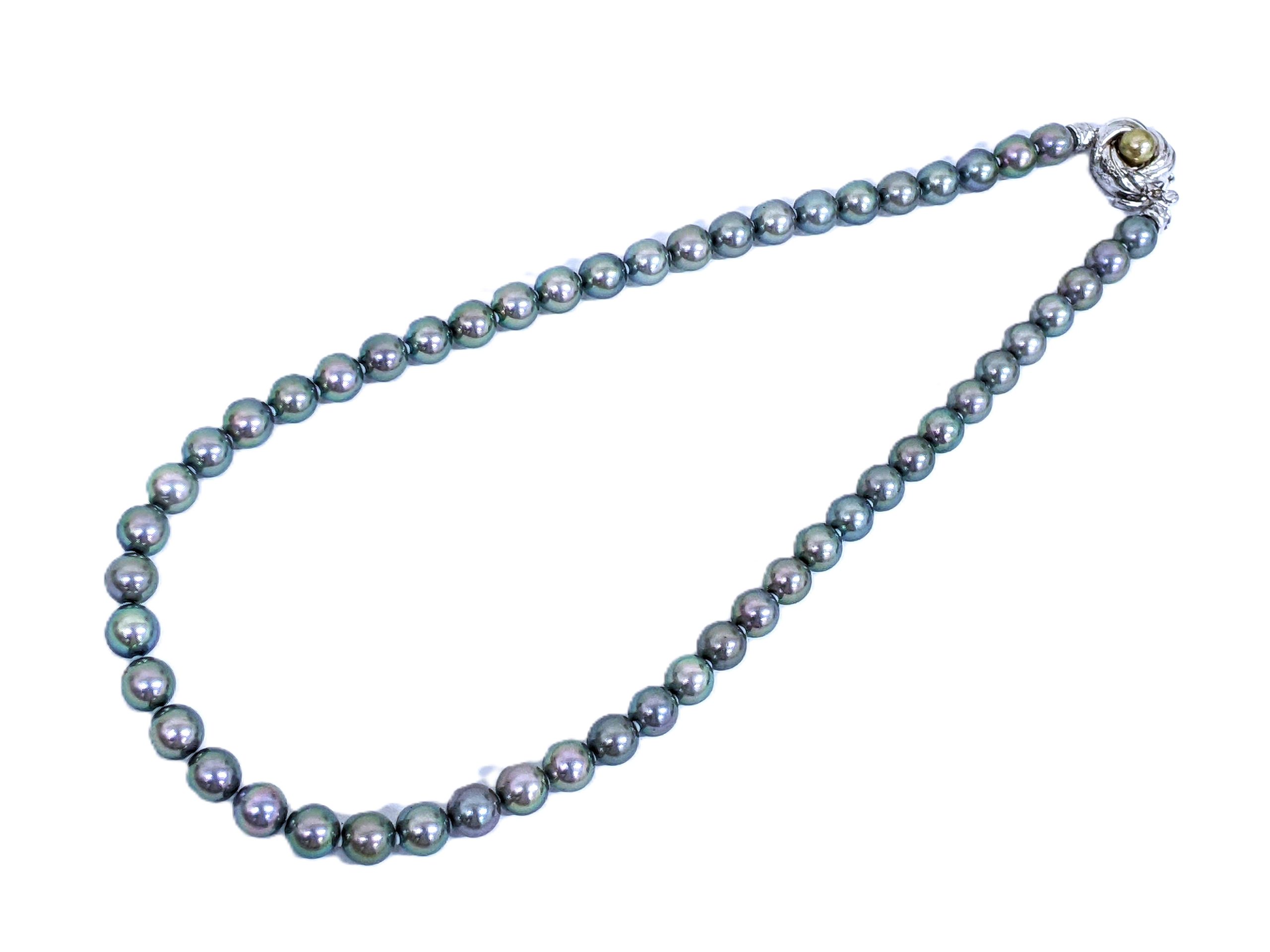 SILVER,パール,ネックレス