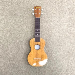 ウクレレ,楽器,弦楽器