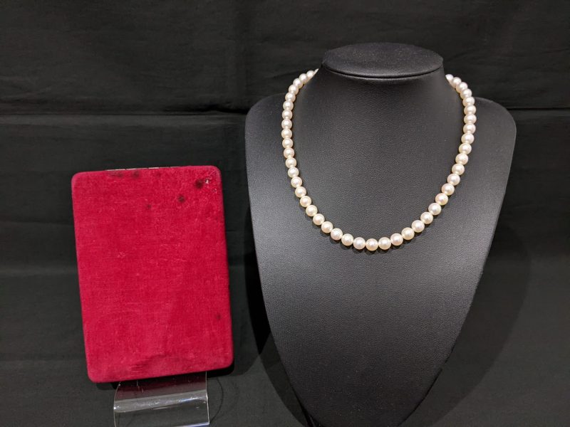 MIKIMOTO,ネックレス,K14