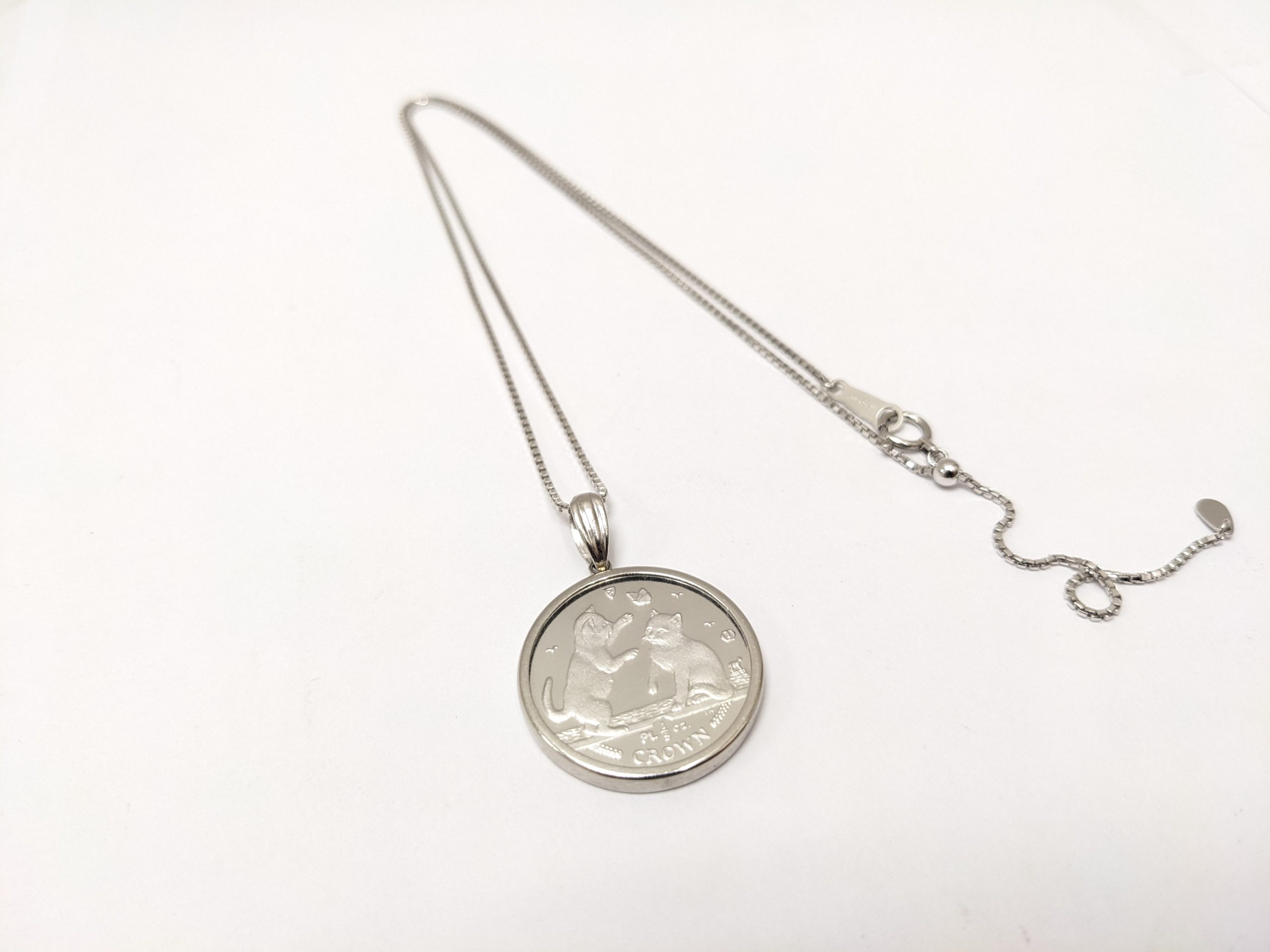 プラチナ,ネックレス,コイン