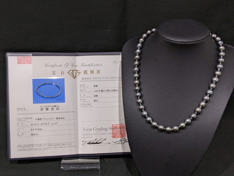 黒蝶真珠,グリニッシュグレー,SILVER