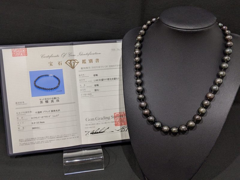 黒蝶真珠,ブラック,SILVER