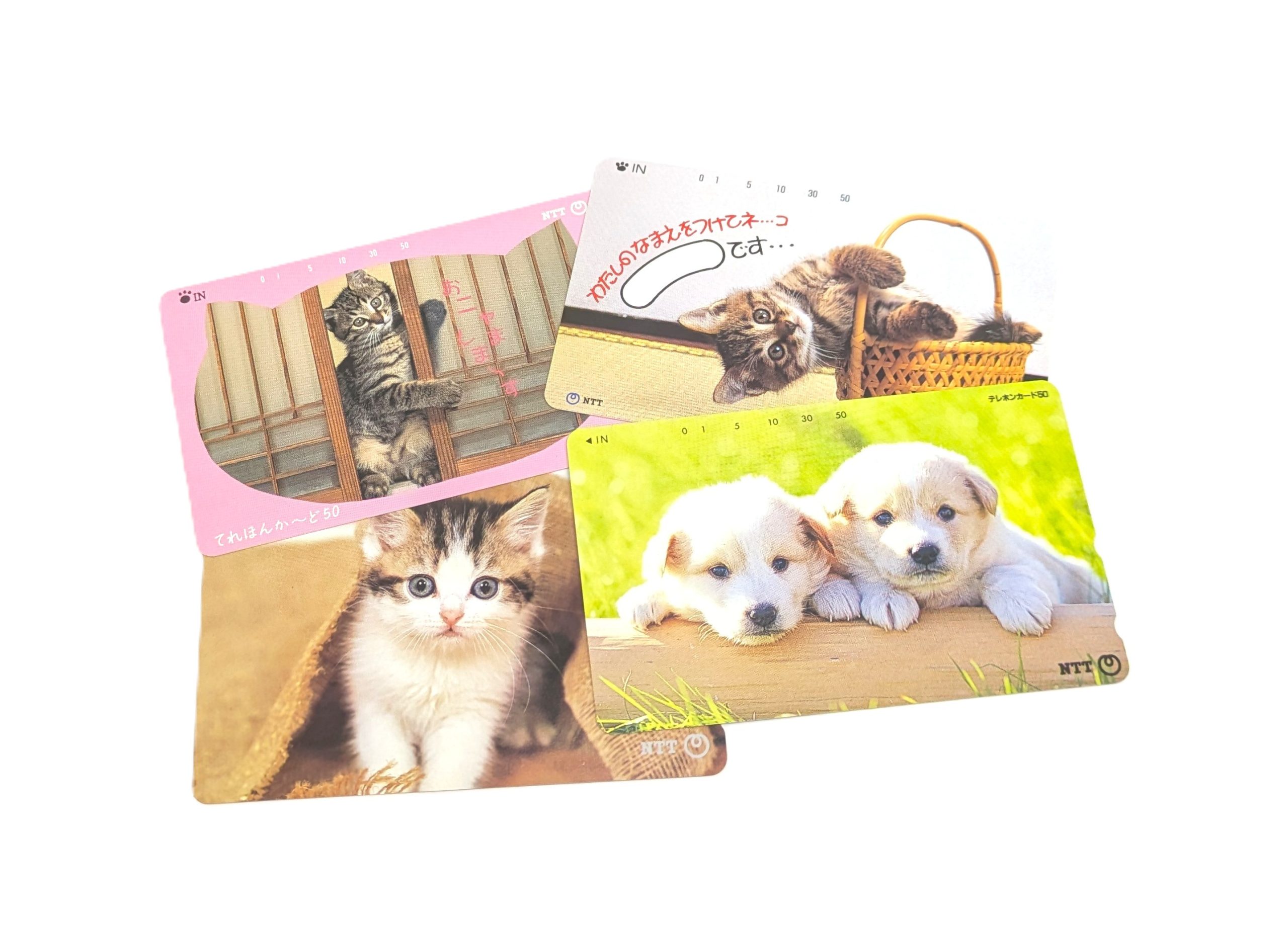 テレカ,テレホンカード,50度数